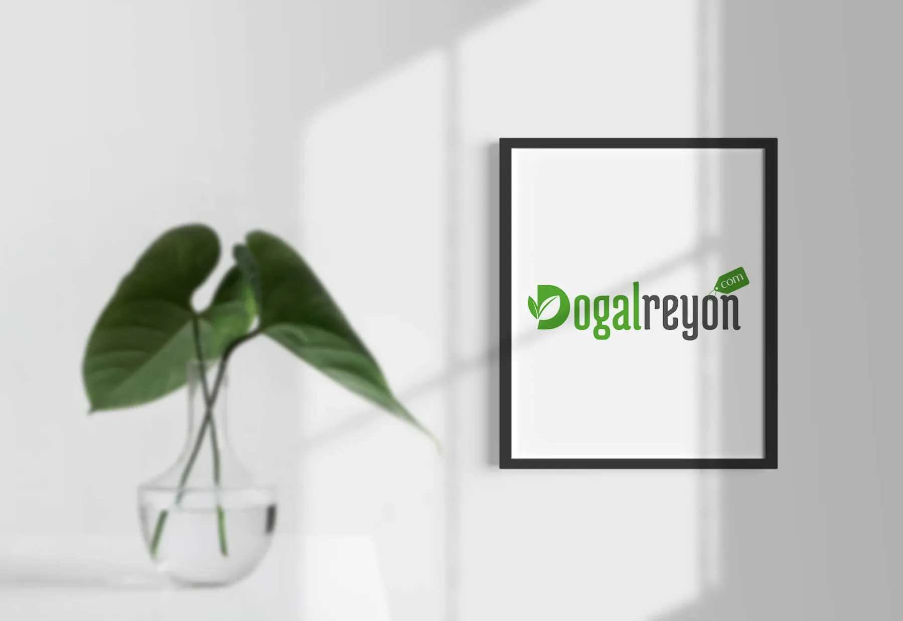 Doğal Reyon — 3